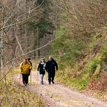 Sur le chemin qui monte au chteau-fort ruin du Frankenbourg